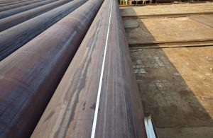 IMG 20250220 101307 scaled e1773632011875