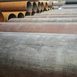 IMG 20250313 0956241